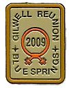 2009_Pin.jpg