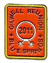 2011_Pin.jpg