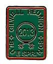 2013_Pin.jpg