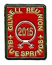 2015_Pin.jpg