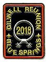 2018_Pin.jpg