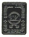 2021_Pin.jpg