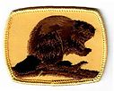Filename=Beaver.jpg
Filesize=93KiB
Dimensions=592x476
Date added=May 27, 2019 Beaver.jpg