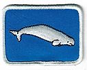 Filename=Beluga_Q.jpg
Filesize=88KiB
Dimensions=505x408
Date added=May 28, 2019 Beluga_Q.jpg