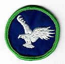 Filename=Bird_-_Green.jpg
Filesize=30KiB
Dimensions=465x459
Date added=May 26, 2019 Bird_-_Green.jpg