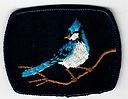 Filename=Blue_Jay.jpg
Filesize=27KiB
Dimensions=588x455
Date added=May 27, 2019 Blue_Jay.jpg