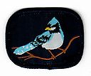 Filename=Blue_Jay_W.jpg
Filesize=19KiB
Dimensions=445x373
Date added=May 28, 2019 Blue_Jay_W.jpg