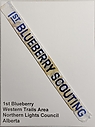 Blueberry_1st_strip.jpg