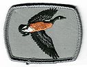 Filename=Canada_Goose.jpg
Filesize=105KiB
Dimensions=586x453
Date added=May 27, 2019 Canada_Goose.jpg