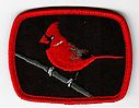 Filename=Cardinal.jpg
Filesize=36KiB
Dimensions=584x456
Date added=May 27, 2019 Cardinal.jpg