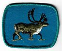 Filename=Caribou.jpg
Filesize=50KiB
Dimensions=582x474
Date added=May 27, 2019 Caribou.jpg