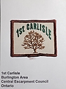 Carlisle_1st_rectangle_ll-ur.jpg