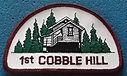 Cobble_Hill_1st_ul-lr.jpg