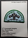 Connaughts_Heights_17th_bridge_supports_in_pairs.jpg