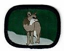 Filename=Coyote_W.jpg
Filesize=20KiB
Dimensions=439x353
Date added=May 28, 2019 Coyote_W.jpg