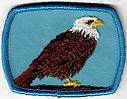 Filename=Eagle.jpg
Filesize=88KiB
Dimensions=556x434
Date added=May 27, 2019 Eagle.jpg