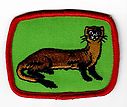 Filename=Ferret.jpg
Filesize=52KiB
Dimensions=598x503
Date added=May 27, 2019 Ferret.jpg