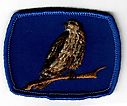 Filename=Hawk.jpg
Filesize=86KiB
Dimensions=589x491
Date added=May 27, 2019 Hawk.jpg