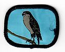 Filename=Hawk_W.jpg
Filesize=22KiB
Dimensions=452x366
Date added=May 28, 2019 Hawk_W.jpg