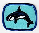 Filename=Killer_Whale.jpg
Filesize=46KiB
Dimensions=598x507
Date added=May 27, 2019 Killer_Whale.jpg