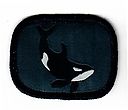 Filename=Orca_W.jpg
Filesize=36KiB
Dimensions=450x388
Date added=May 28, 2019 Orca_W.jpg