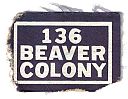Ottawa_136th_Beaver_Colony.jpg