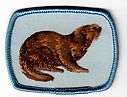 Filename=Otter.jpg
Filesize=46KiB
Dimensions=606x463
Date added=May 27, 2019 Otter.jpg