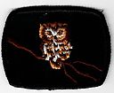 Filename=Owl.jpg
Filesize=49KiB
Dimensions=560x460
Date added=May 27, 2019 Owl.jpg