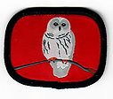 Filename=Owl_W.jpg
Filesize=18KiB
Dimensions=424x373
Date added=May 28, 2019 Owl_W.jpg