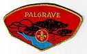 Palgrave_Scouts.jpg