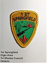 Springfield_01st.jpg