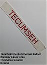 Tecumseh_generic_strip.jpg