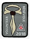 Volunteer_2018_badge_gift.jpg